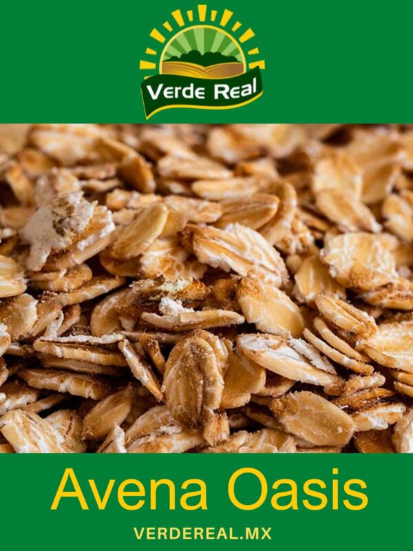 AVENA OASIS