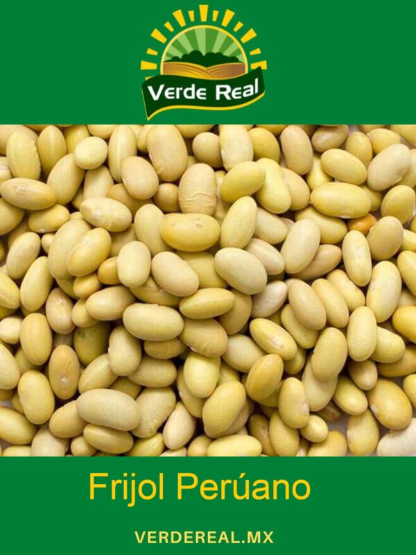 FRIJOL PERUANO