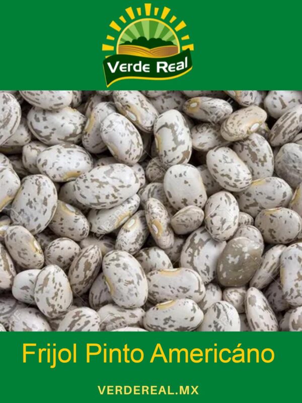 FRIJOL PINTO AMERICANO