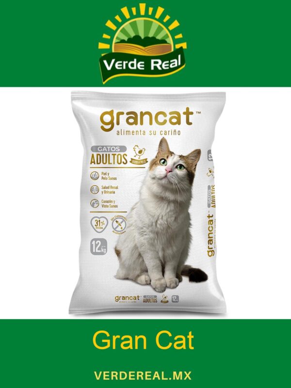 GRAN CAT