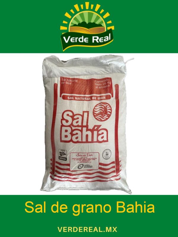 SAL DE GRANO BAHIA