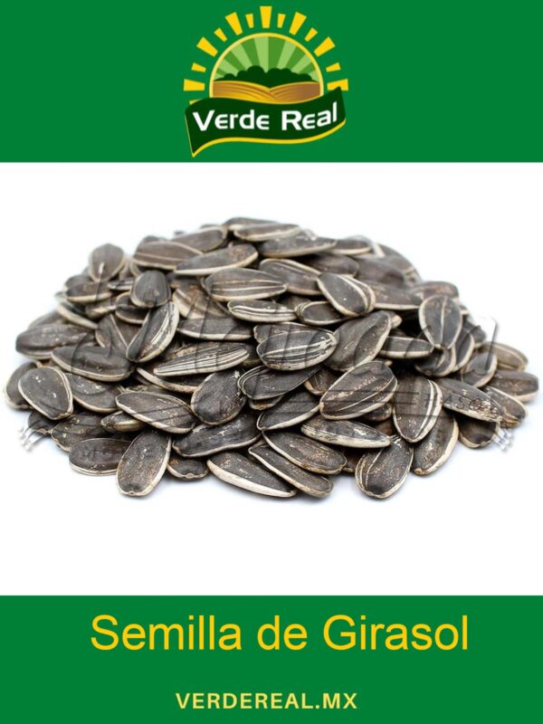 SEMILLA DE GIRASOL