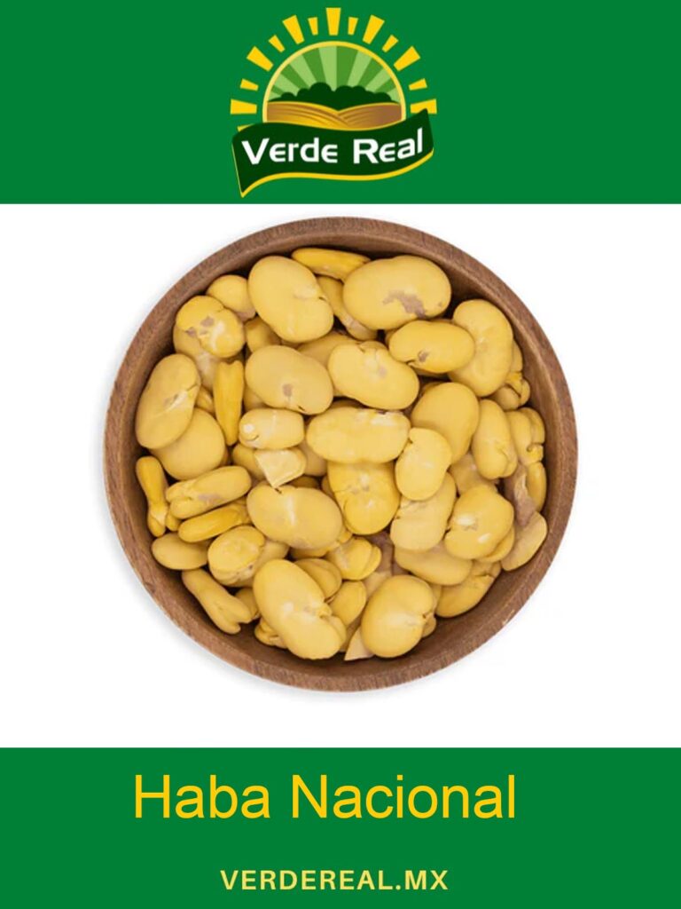 haba nacional
