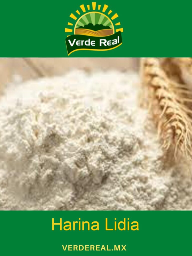 harina lidia
