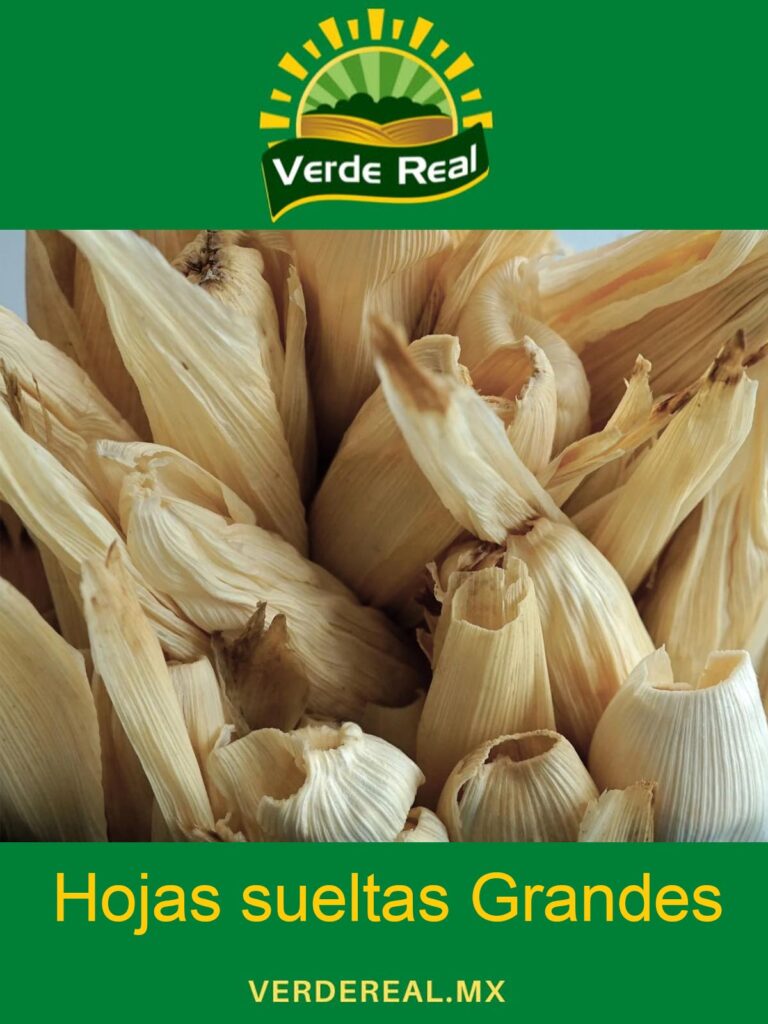 hojas sueltas grandes de tamal